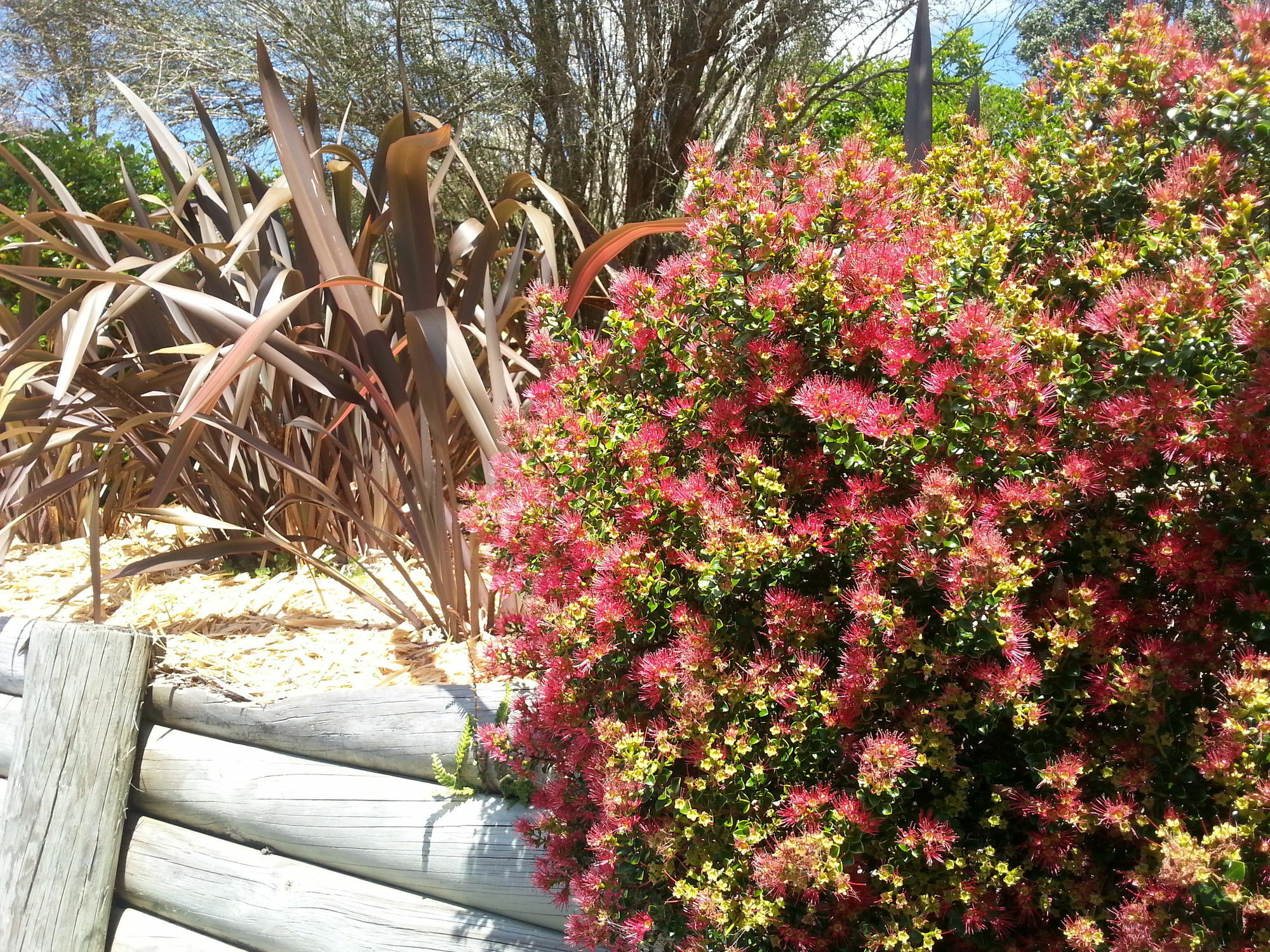 פאיהייה Morepork Riverside Lodge מראה חיצוני תמונה